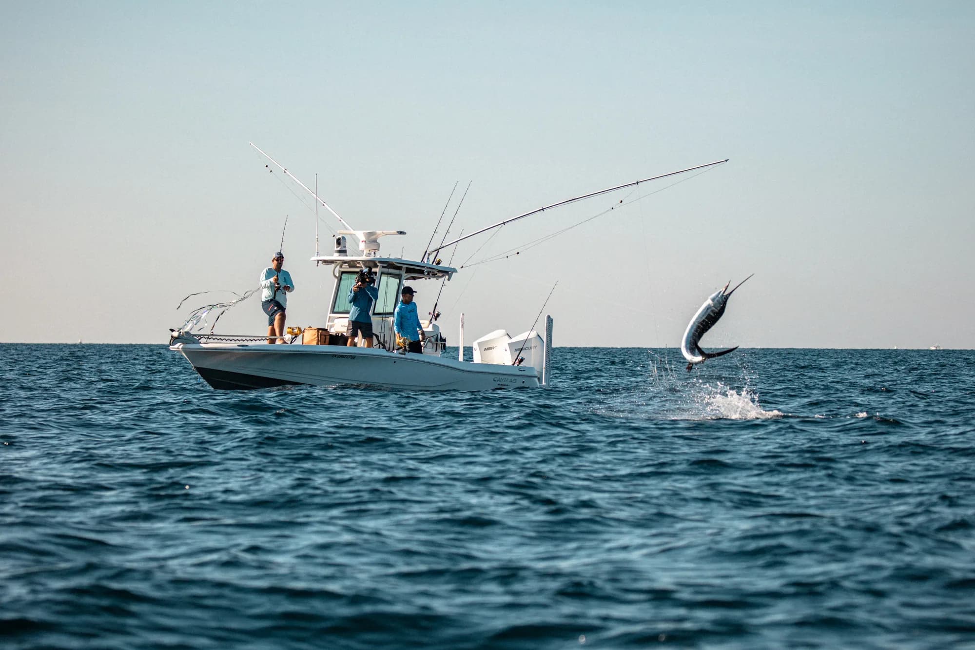 Blue marlin jumping from dark offshore water